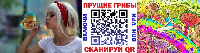 ссылка на мегу онион darknet телеграм Галлюциногенные грибы Cubensis Пионерский